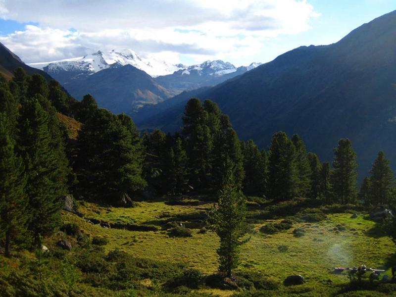 Plattnerhof Kaunertal Kültér fotó