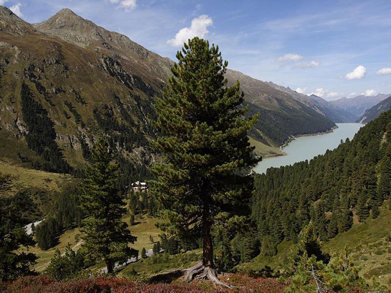 Plattnerhof Kaunertal Kültér fotó